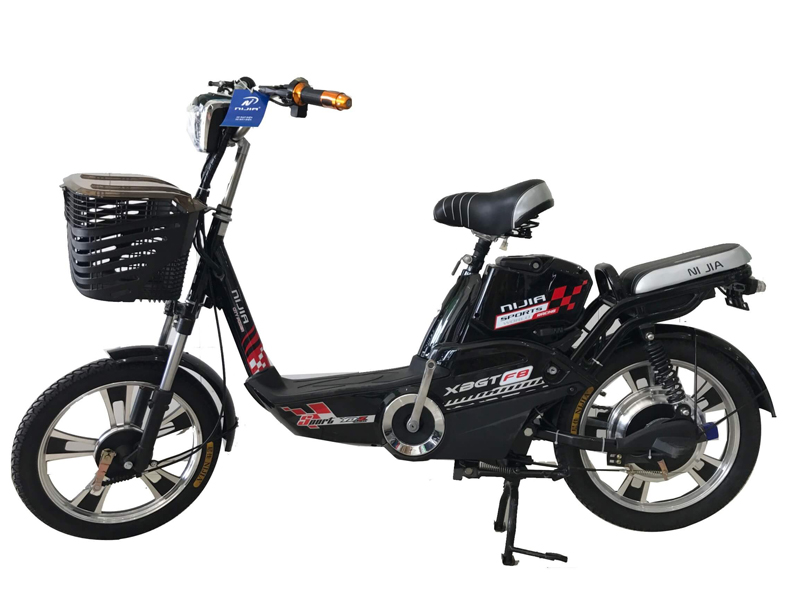 nen mua xe dap dien nao