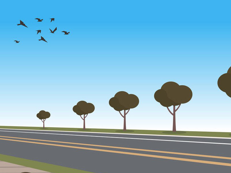 xe dap dien bridgestone co tot khong