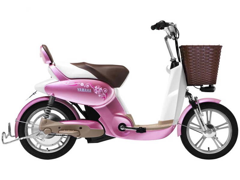 xe dap dien yen thap