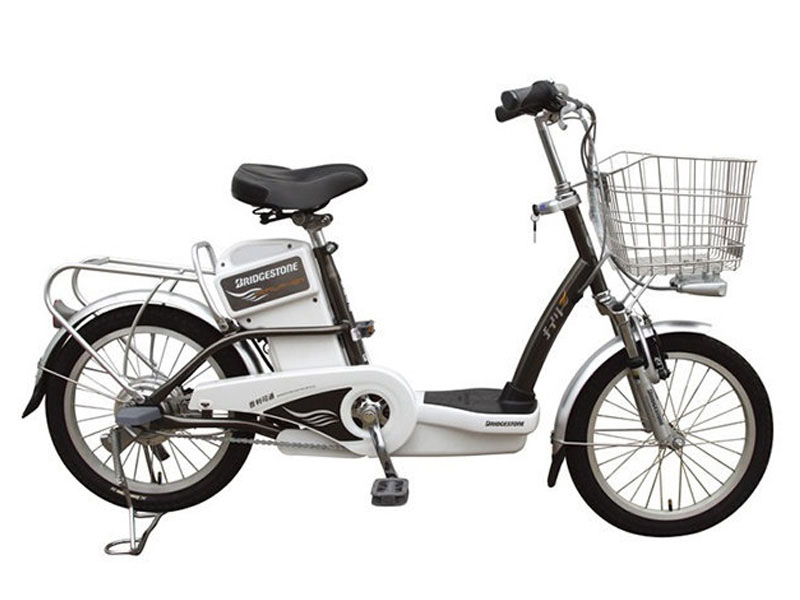 xe dap dien cu gia 2 trieu