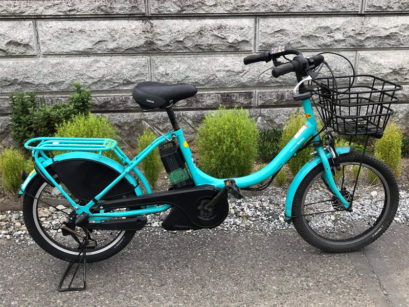 xe dap tro luc nhat bai