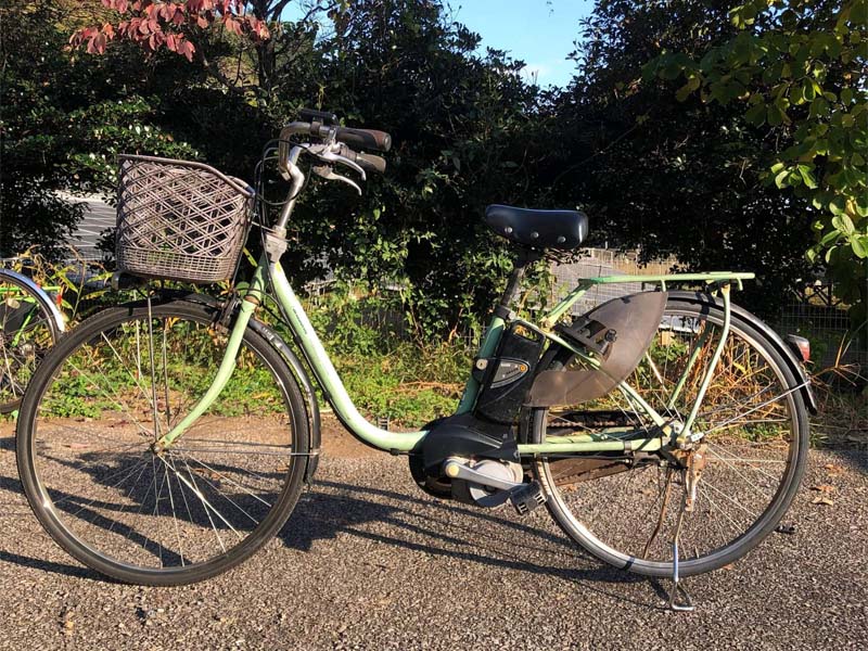 xe dap tro luc nhat bai