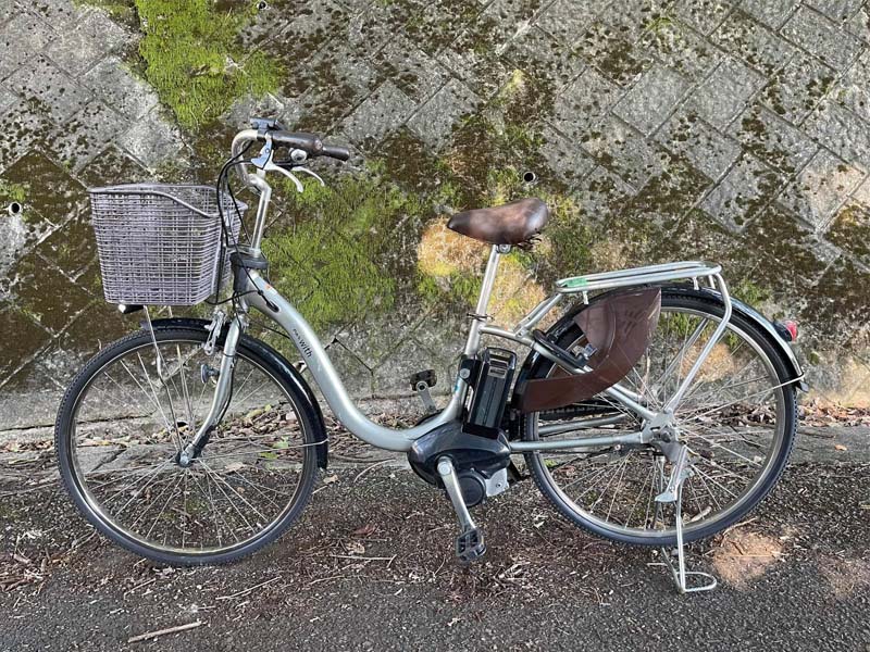 xe dap dien bai nhat