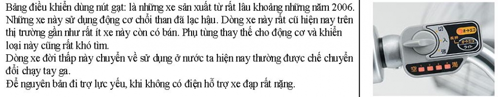 năm sản xuất xe đạp trợ lực nhật