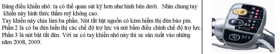 năm sản xuất xe đạp trợ lực nhật