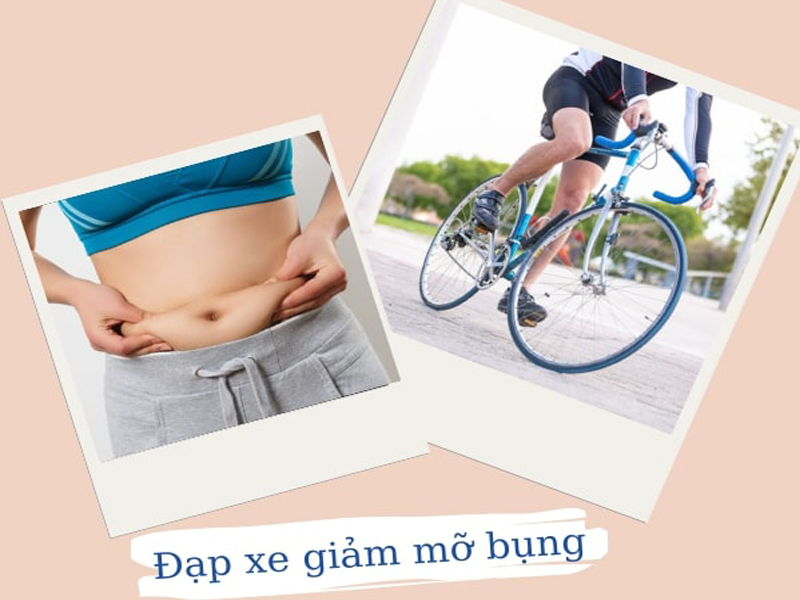 dap xe co giam mo bung