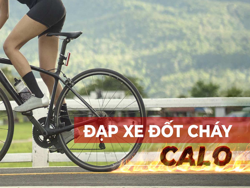 dap xe dot chay bao nhieu calo