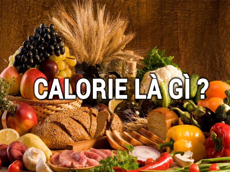 dap xe dot chay bao nhieu calo