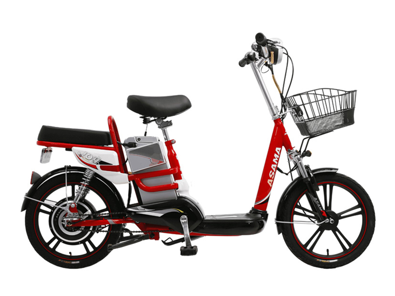 xe dap dien cho nguoi gia