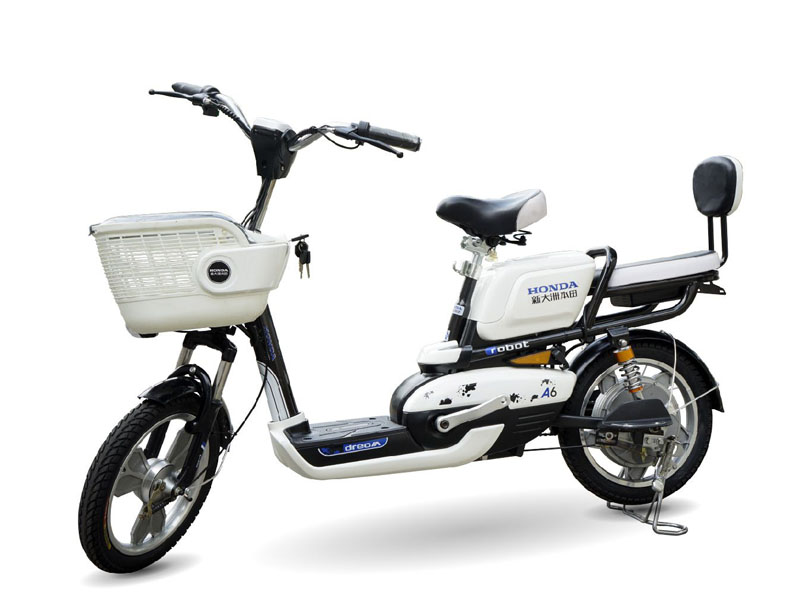 xe dap dien cho nguoi gia