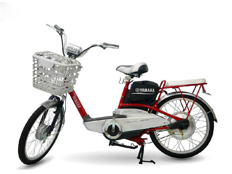 xe dap dien cho nguoi gia