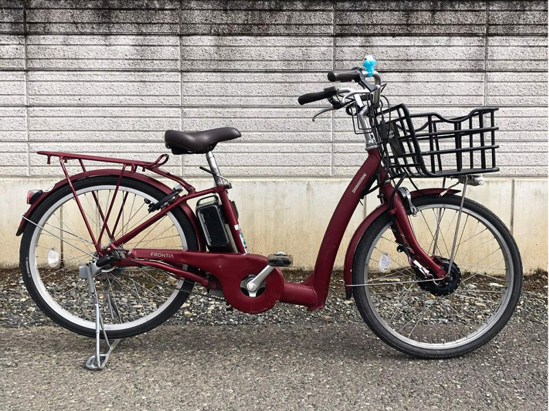 xe dap tro luc dien gia re