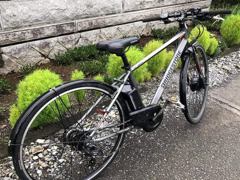 xe dap tro luc dien gia re