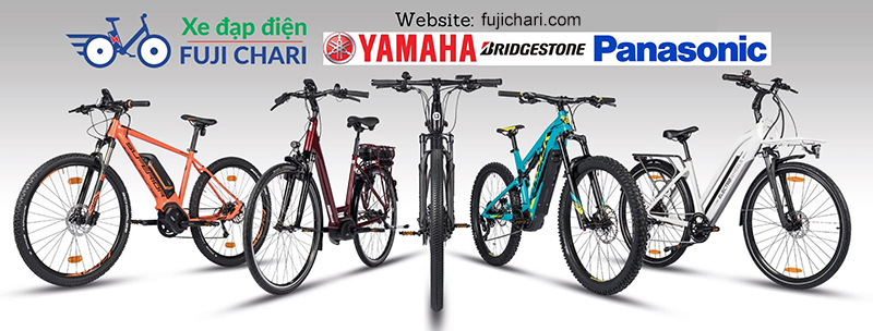 Ở Nhật mua xe trợ lực cũ ở đâu