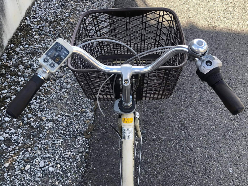 gia xe dap tro luc nhat