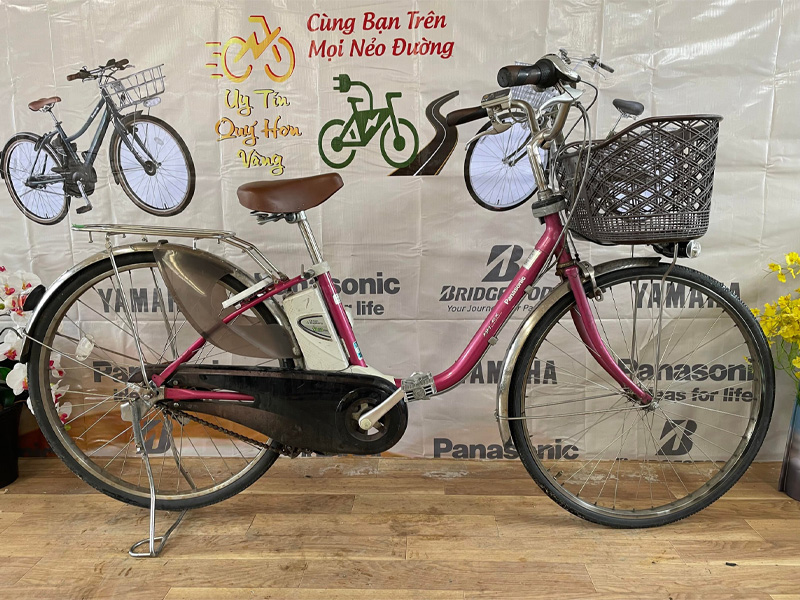 xe dap tro luc cho nu