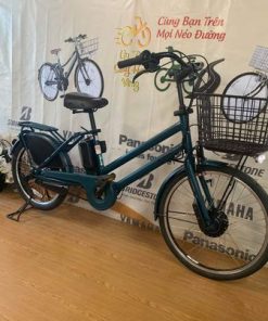 Xe đạp trợ lực Bridgestone đời 1 pin B300