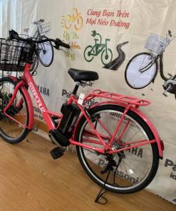 Xe đạp trợ lực Bridgestone đời 2 pin B300