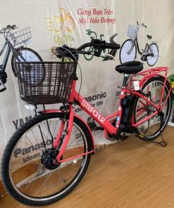 Xe đạp trợ lực Bridgestone đời 2 pin B300
